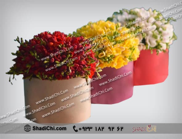 باکس گل فرزیا — تصویر ۴