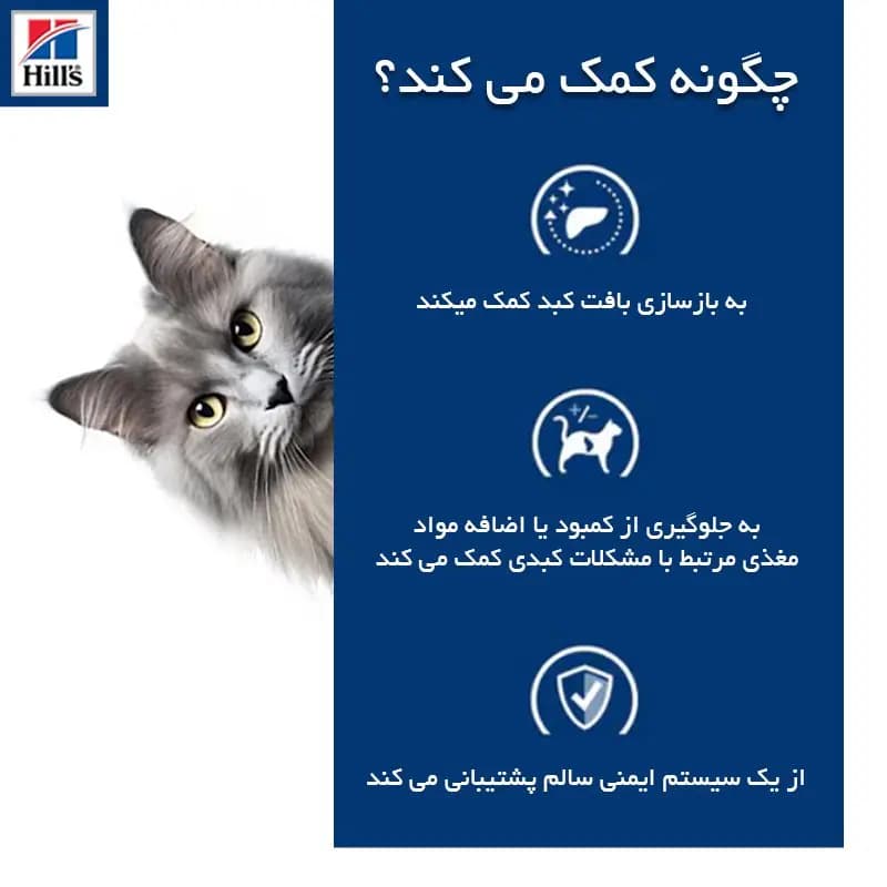 غذای خشک درمانی گربه هیلز مدل Liver care وزن 1.5 کیلوگرم — تصویر ۹