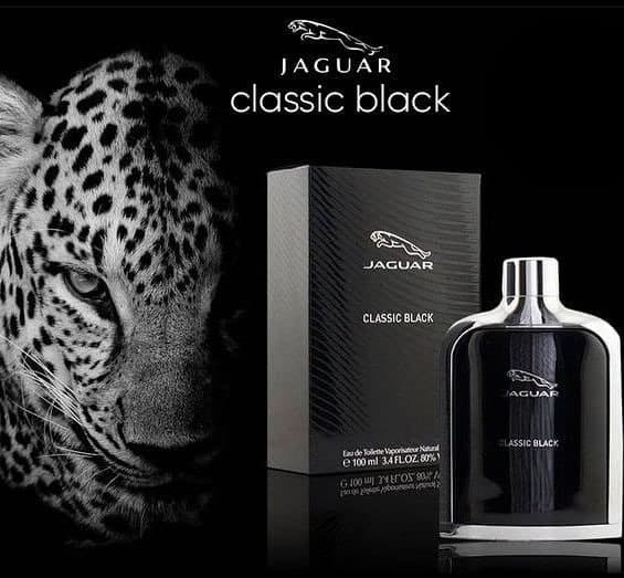 جگوار کلاسیک بلک 100 میل| JAGUAR CLASSIC BLACK — تصویر ۷