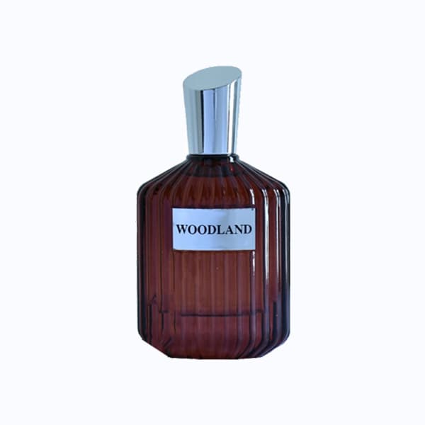 ادکلن آر کی وی وود لند RKV Woodland مردانه 100 میل