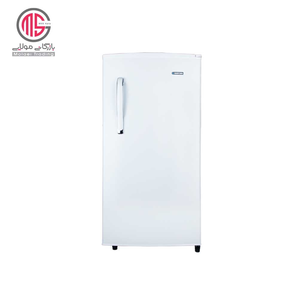 یخچال 9 فوت ایستکول مدل TM-919-DC