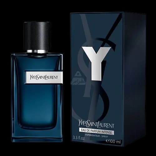 ادکلن ایو سن لورن وای ادو پرفیوم اینتنس 100 میلی لیتر اماراتی | Emarati Perfume Yves Saint Laurent Y 100ml EDP Intense — تصویر ۶