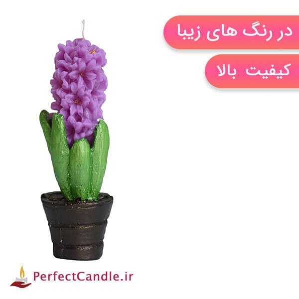 شمع سنبل — تصویر ۴