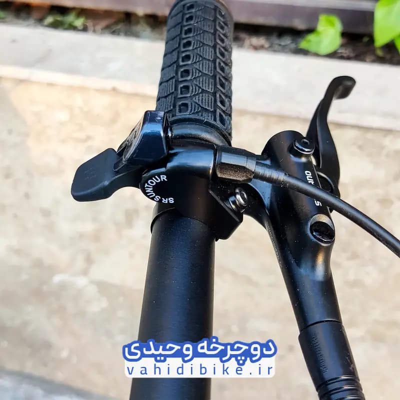 دوچرخه 29 فلش مدل VALENTINE | ولنتاین کربن 12 سرعته دئور — تصویر ۵