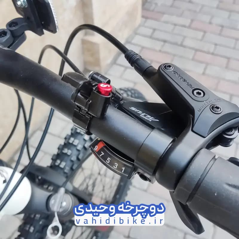 دوچرخه ویوا 29 سایز مدل DITO | دیتو — تصویر ۶