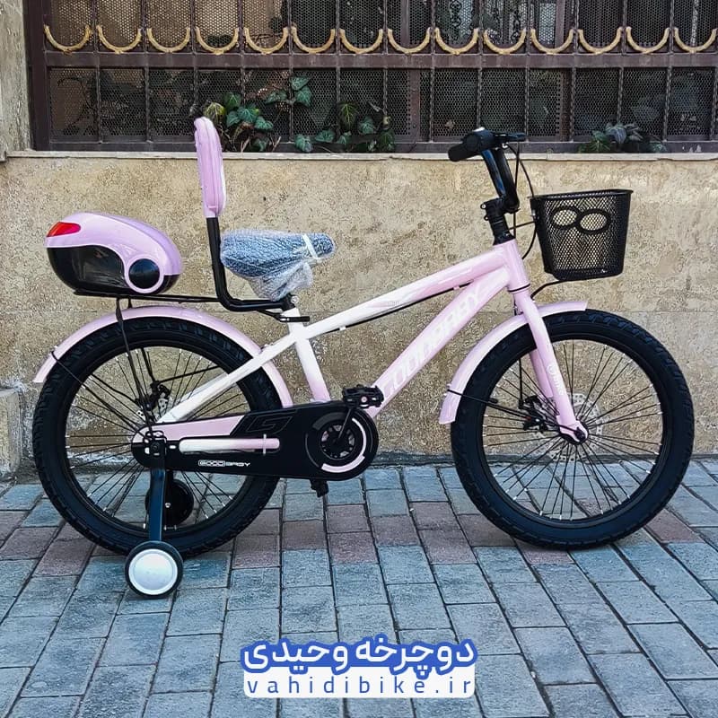 دوچرخه کودک گودبیبی سایز 20 ترمز دیسکی – GOODBABY — تصویر ۳