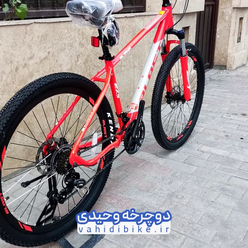 دوچرخه 27.5 بلست مدل ALPINA | آلپینا — تصویر ۴