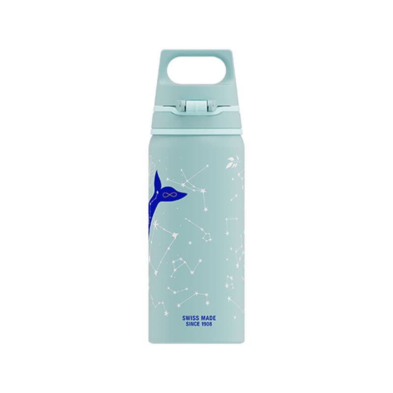 قمقمه سیگ مدل دایو – Sigg WMB ONE Dive 0.6 L — تصویر ۷