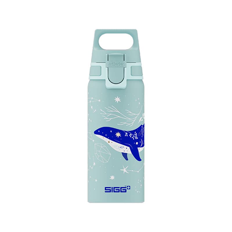 قمقمه سیگ مدل دایو – Sigg WMB ONE Dive 0.6 L