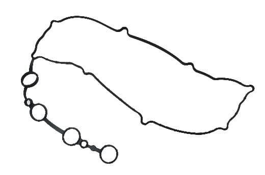 واشر درب سوپاپ ریو