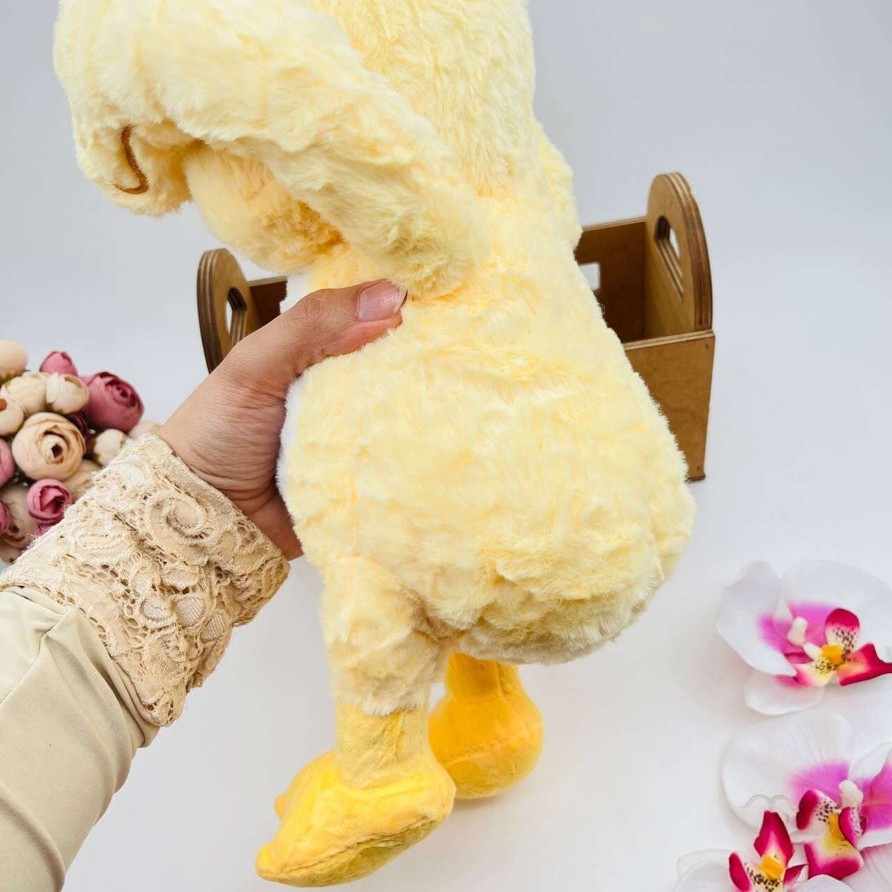 عروسک اردک خجالتی آهنربایی کد 532 — تصویر ۹