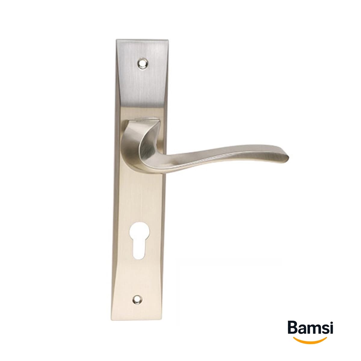 دستگیره پلاک کد K501 مدل شقایق