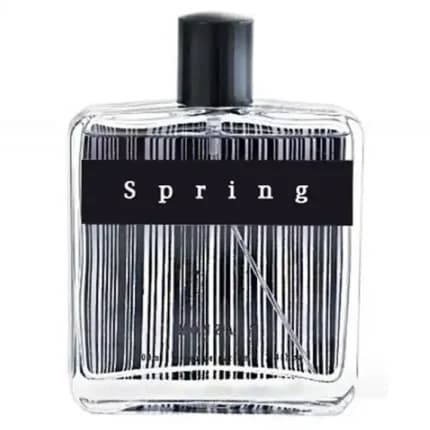 عطر ادکلن اسپرینگ مردانه ادو پرفیوم | Black Spring Eau de parfum