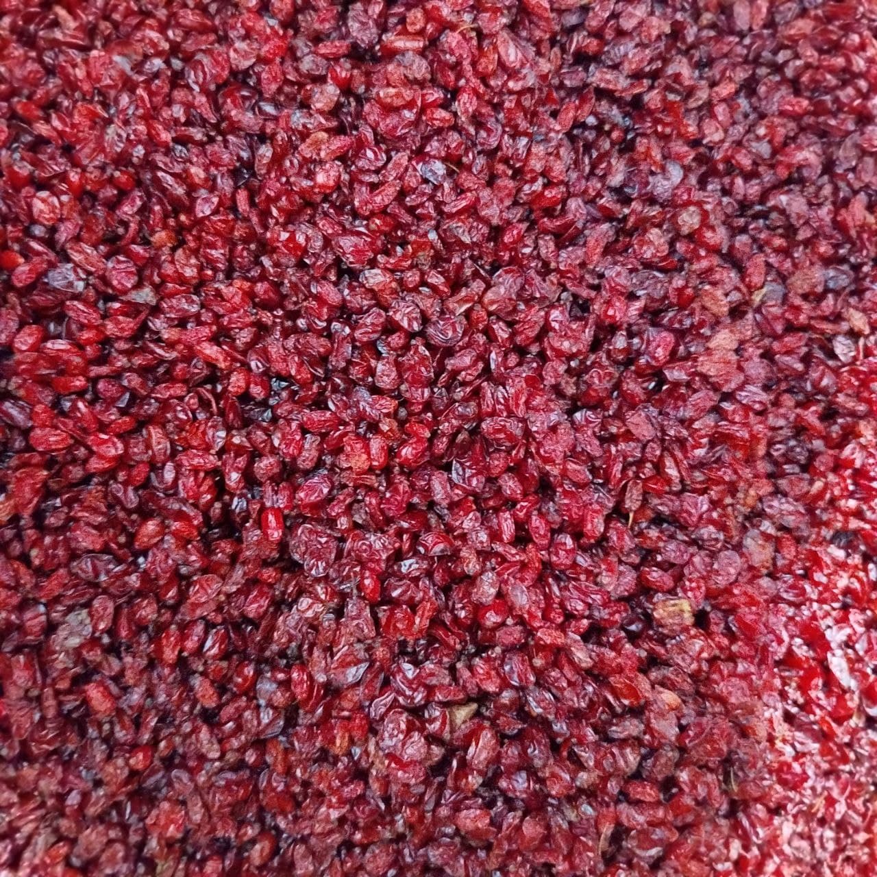 زرشک دانه اناری – پلاستیک پرسی نیم کیلویی — تصویر ۶