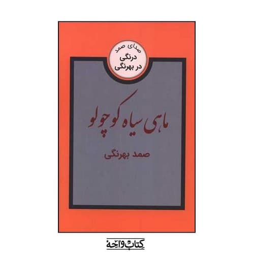 ماهی سیاه کوچولو — تصویر ۱۱