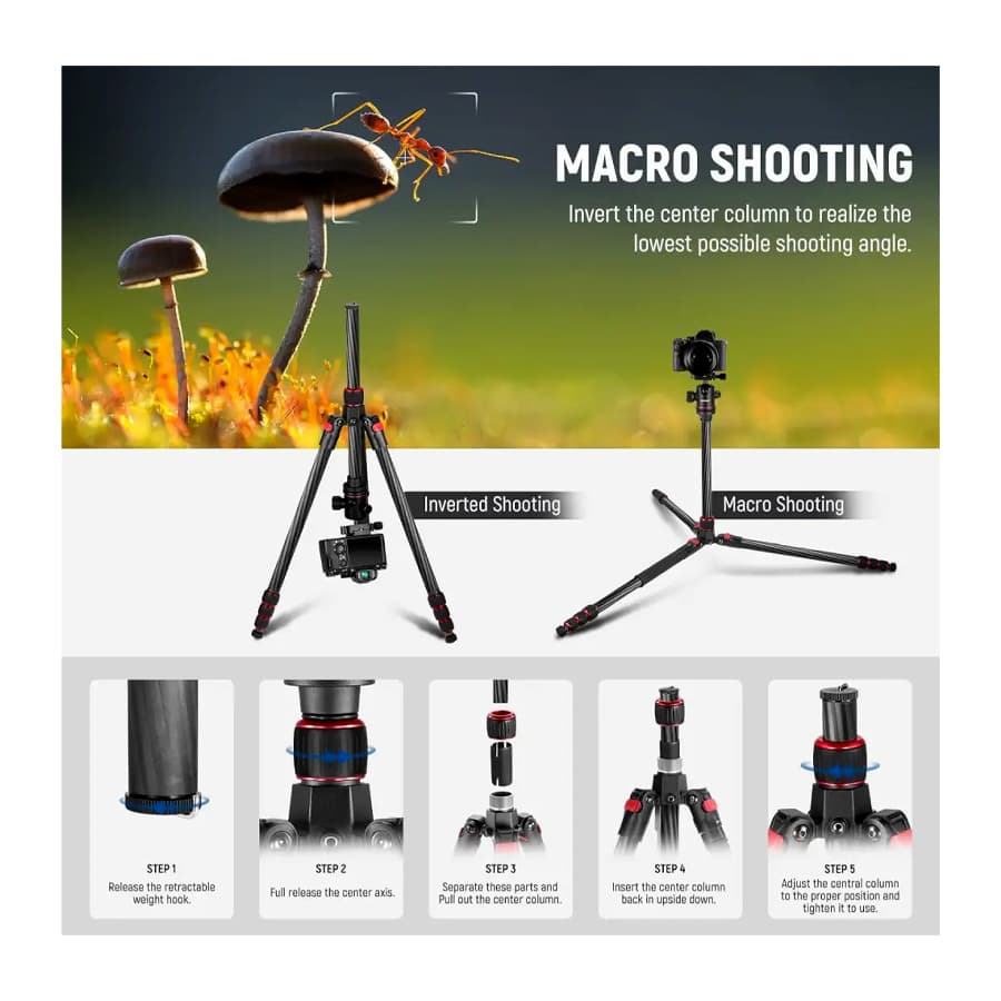 سه پایه مونوپاد دوربین نیور NEEWER TRIPOD MONOPOD N55C — تصویر ۸