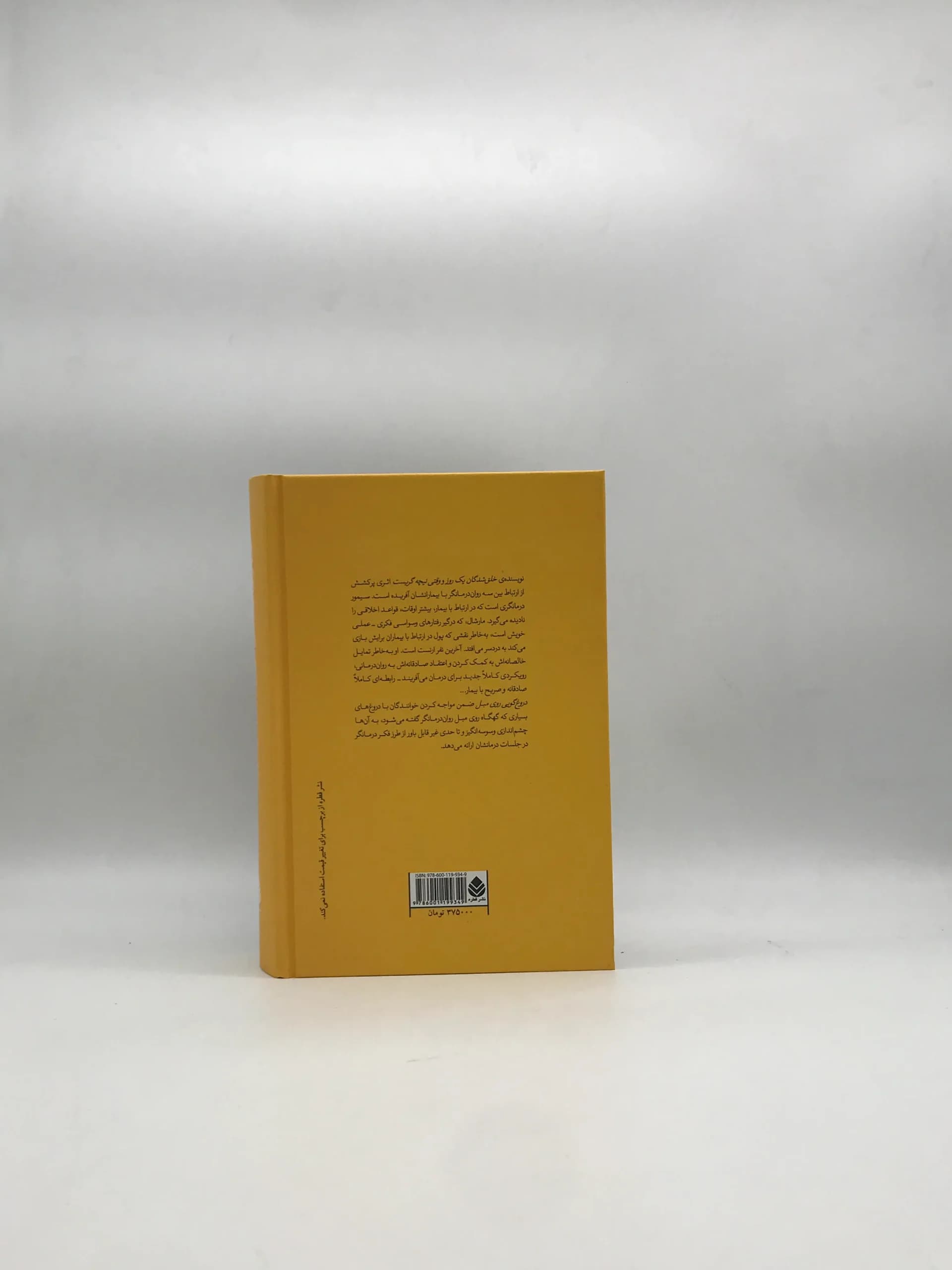 دروغ گویی روی مبل — تصویر ۱۰