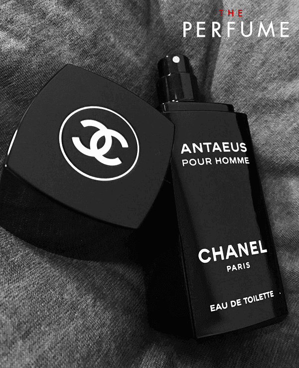 عطر ادکلن شنل آنتئوس اصل | Chanel Antaeus 100ml