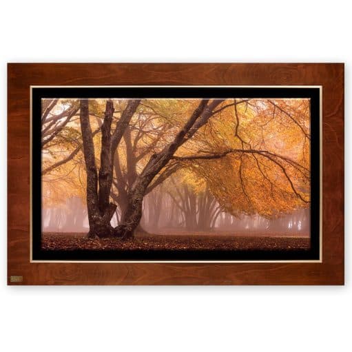تابلو نقاشی لوتوس مدل پاییز زیبا-BEAUTIFUL FALL-کد FWB-120X80-N