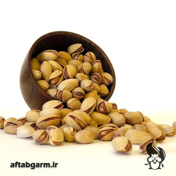 پسته احمد آقایی نمکی — تصویر ۵