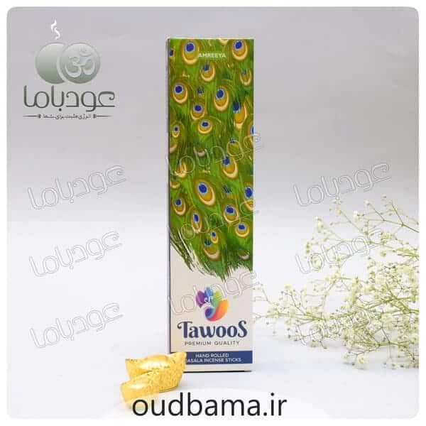 عود دستساز طاووس TAWOOS ( آمریا AMREEYA ) — تصویر ۵