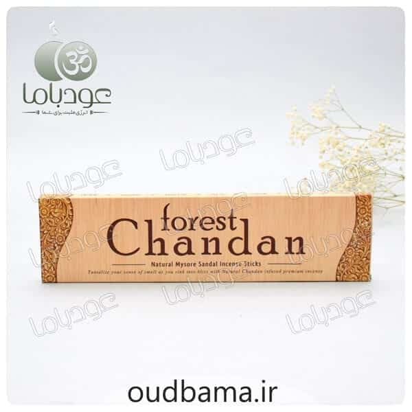 عود دستساز چاندان CHANDAN ( فورست FOREST ) — تصویر ۳