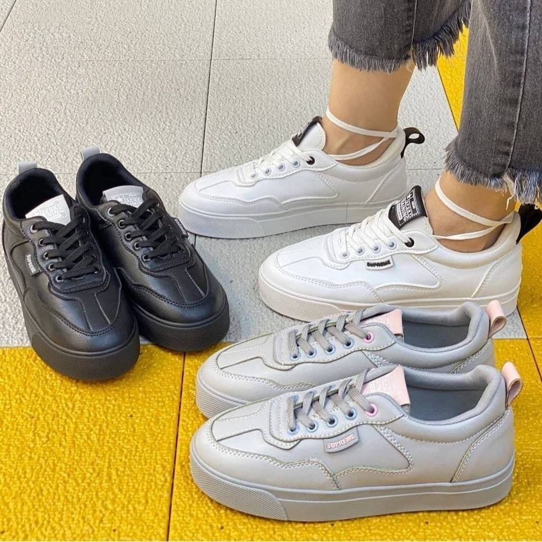 کفش ونس برند LACOSTE