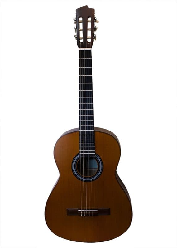 گیتار کلاسیک اکو PRIMO SERIES