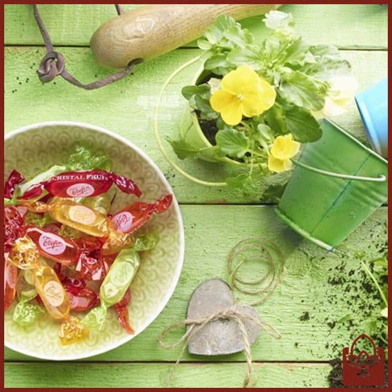 آبنبات بلژیکی ترفین میوه ای – مدل کریستالی — تصویر ۷