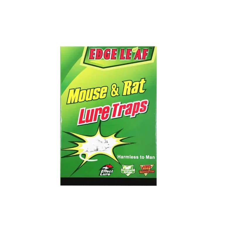 چسب موش مدل LureTraps کتابی بزرگ