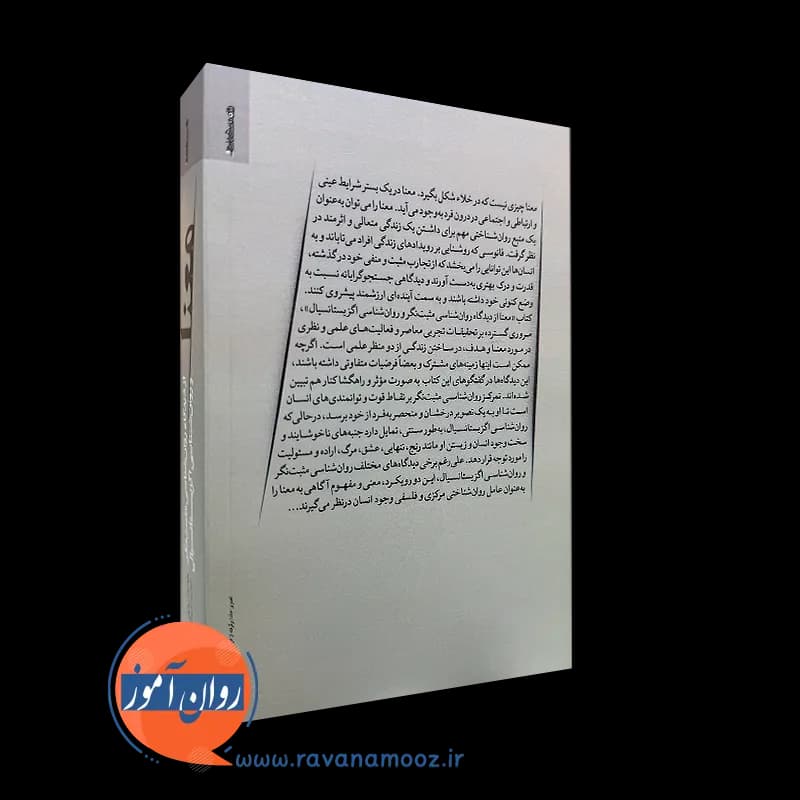 معنا؛ از دیدگاه روانشناسی مثبت نگر و روانشناسی اگزیستانسیال — تصویر ۷