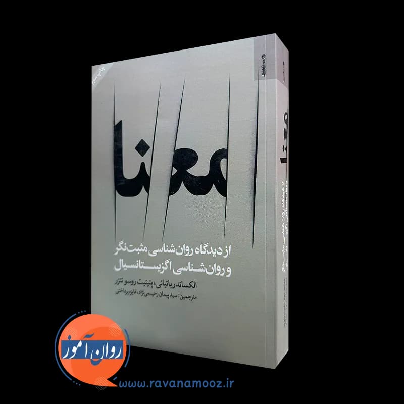 معنا؛ از دیدگاه روانشناسی مثبت نگر و روانشناسی اگزیستانسیال — تصویر ۵