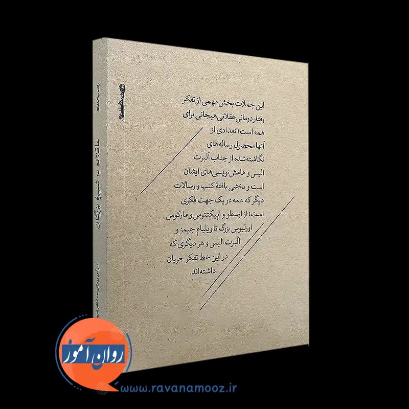 عاقلانه به شیوه بزرگان – هومن نامور — تصویر ۷