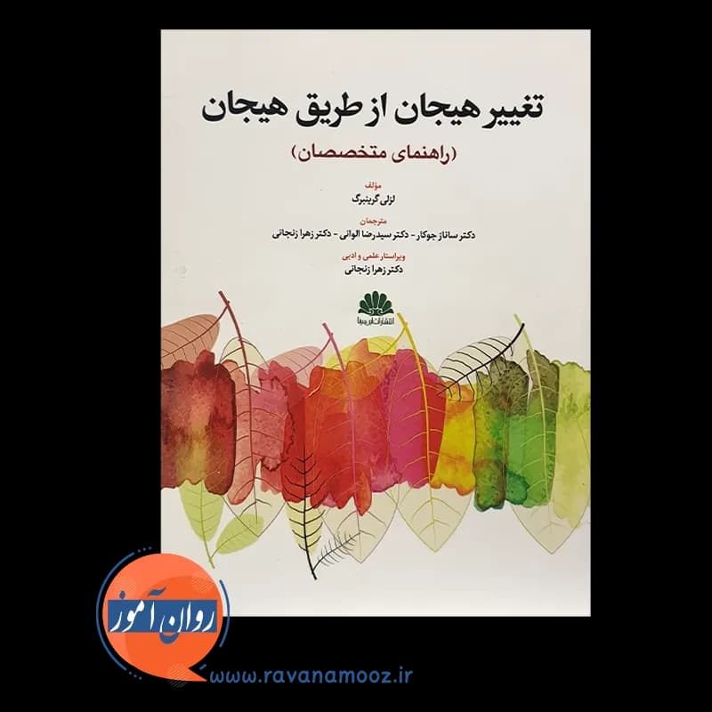 تغییر هیجان از طریق هیجان (راهنمای متخصصان) – گرینبرگ — تصویر ۶