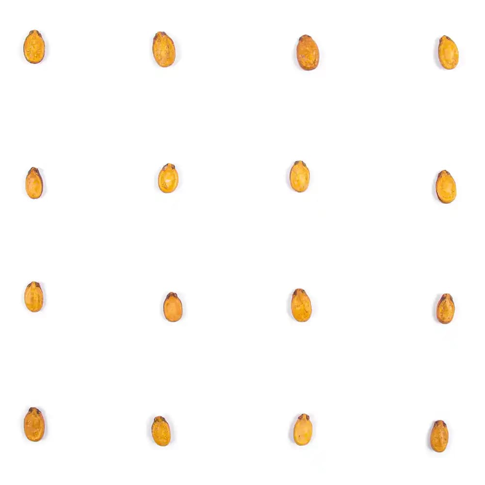 تخمه محبوبی برشته دوآتشه — تصویر ۴
