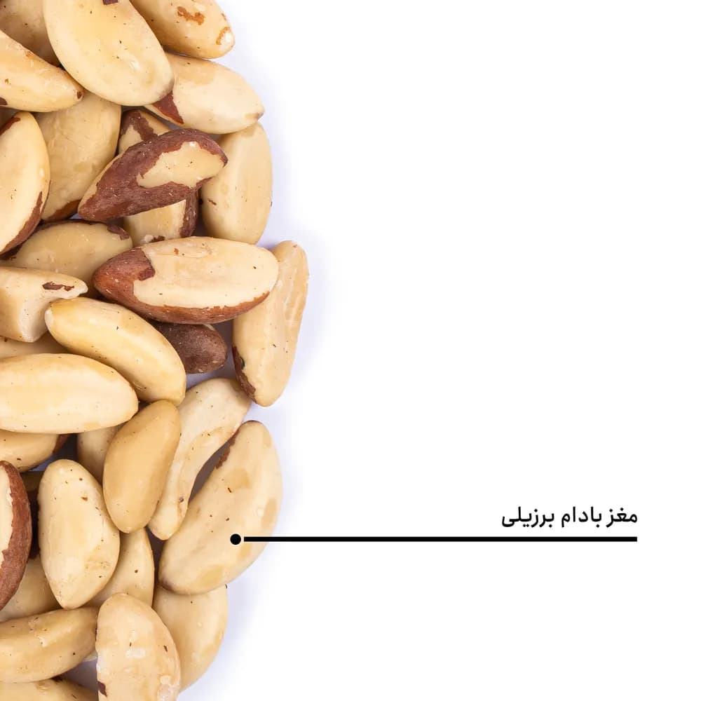 مغز بادام برزیلی خام — تصویر ۵