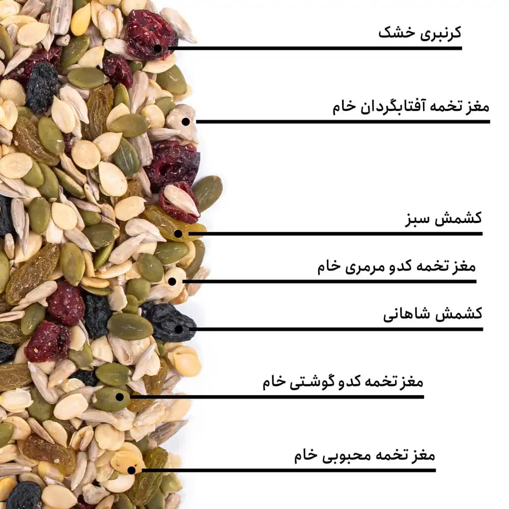 مخلوط سالادی — تصویر ۵