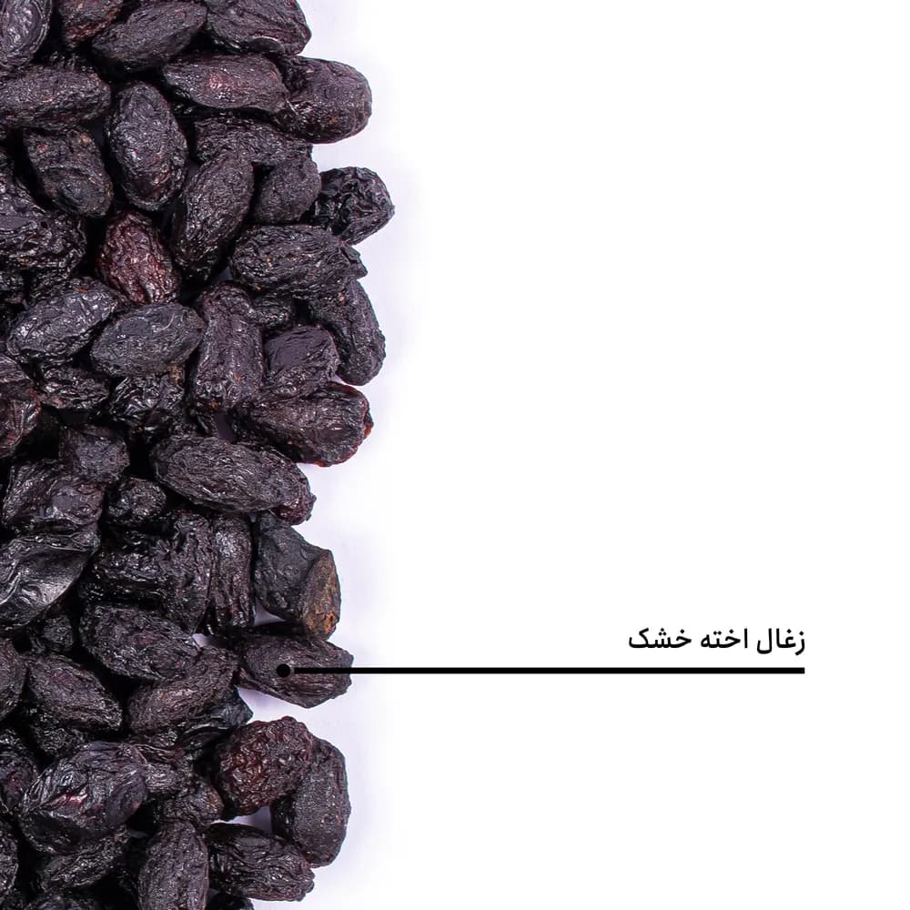زغال اخته خشک — تصویر ۵