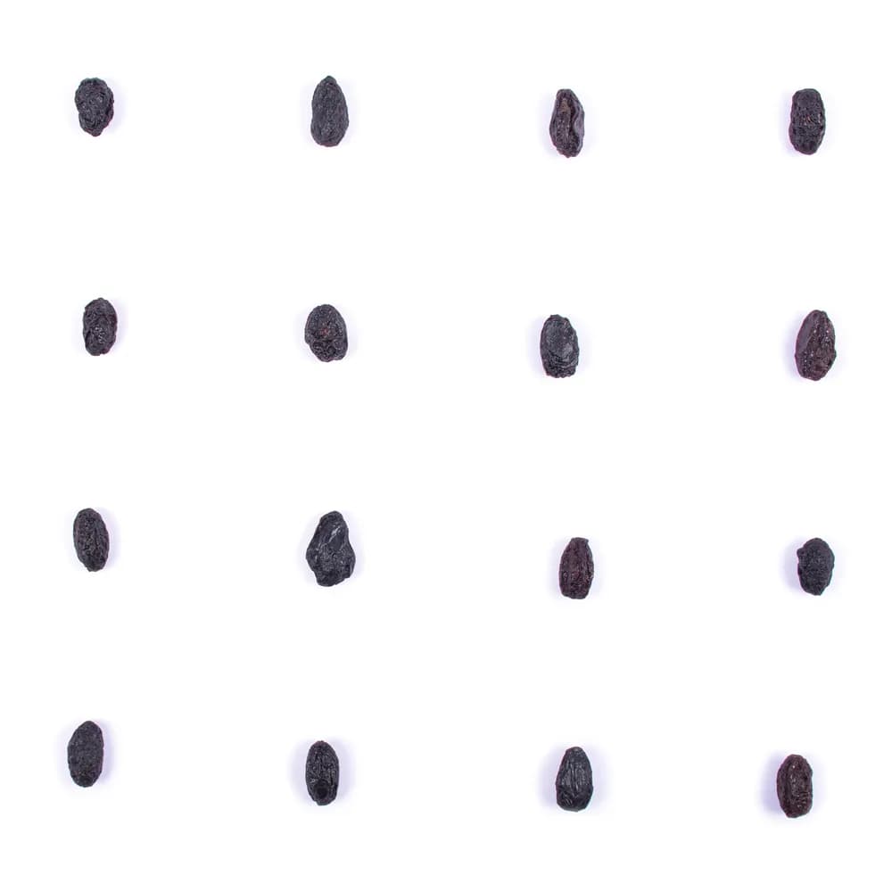 زغال اخته خشک — تصویر ۴