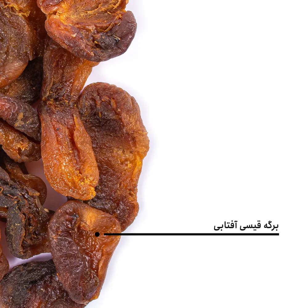 برگه قیسی آفتابی — تصویر ۵