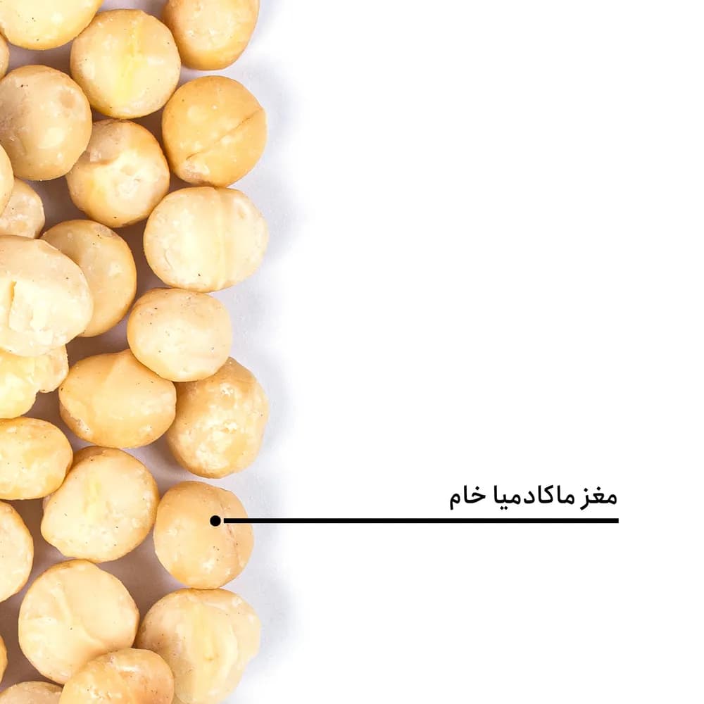 مغز ماکادمیا خام — تصویر ۵