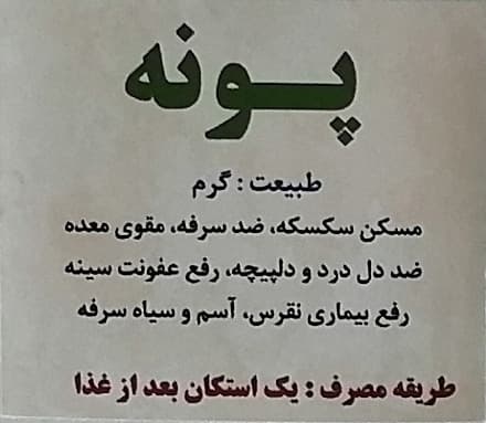 عرق پونه (سنتی) — تصویر ۳