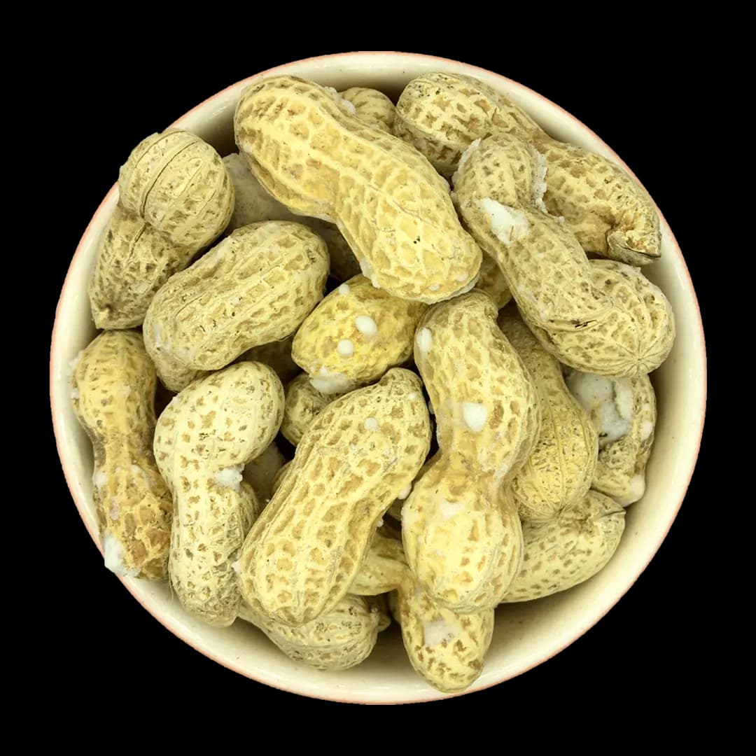 بادام زمینی با پوست شور (غلافدار)