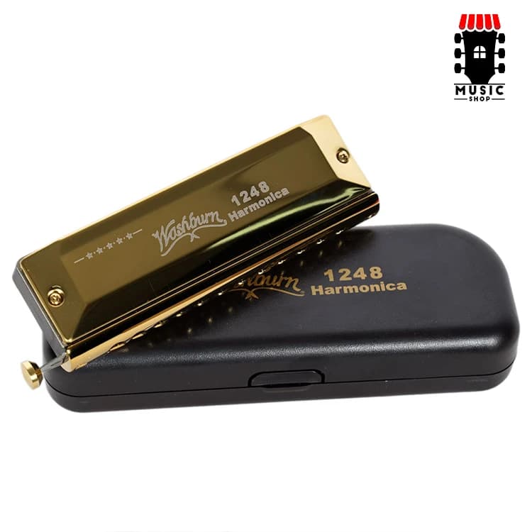 سازدهنی کروماتیک Washburn 1248