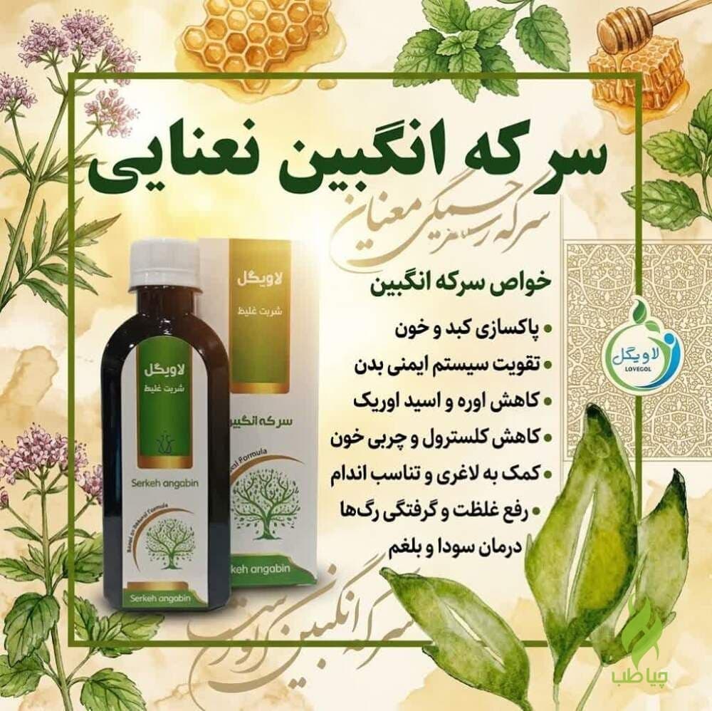 سرکه انگبین نعنایی خیراندیش (کاهش غلظت خون)