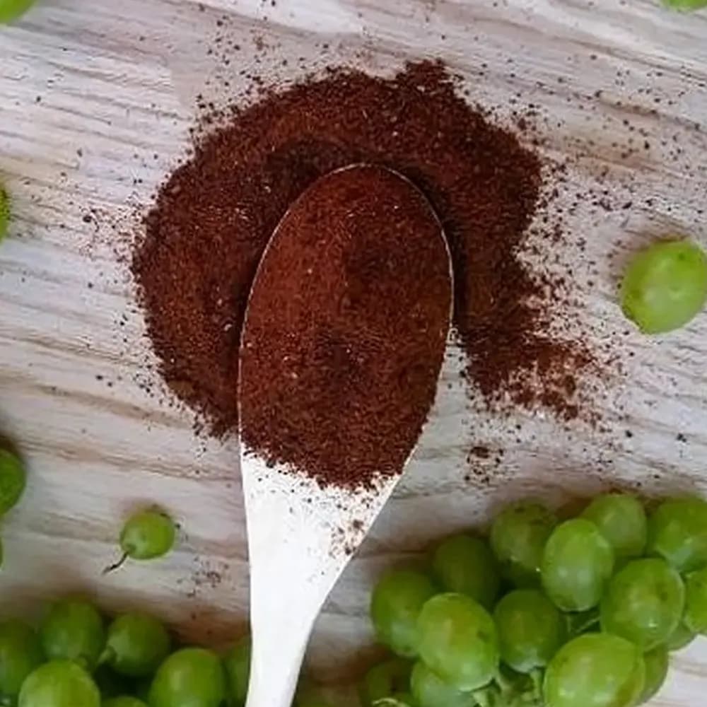 گرد غوره ۱۵۰ گرم چاشنی ترش و مقوی — تصویر ۲