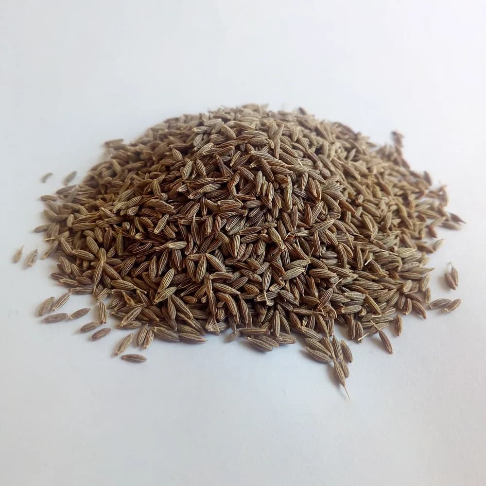 زیره سبز درشت و پودری ۱۵۰ گرم ادویه خوش طعم و پرخاصیت
