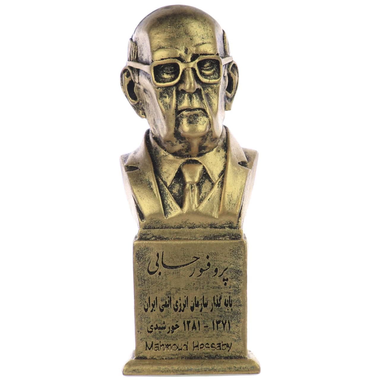سردیس پروفسور محمود حسابی — تصویر ۳