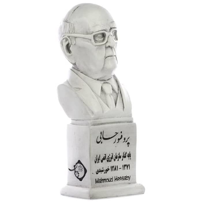 سردیس پروفسور محمود حسابی — تصویر ۴