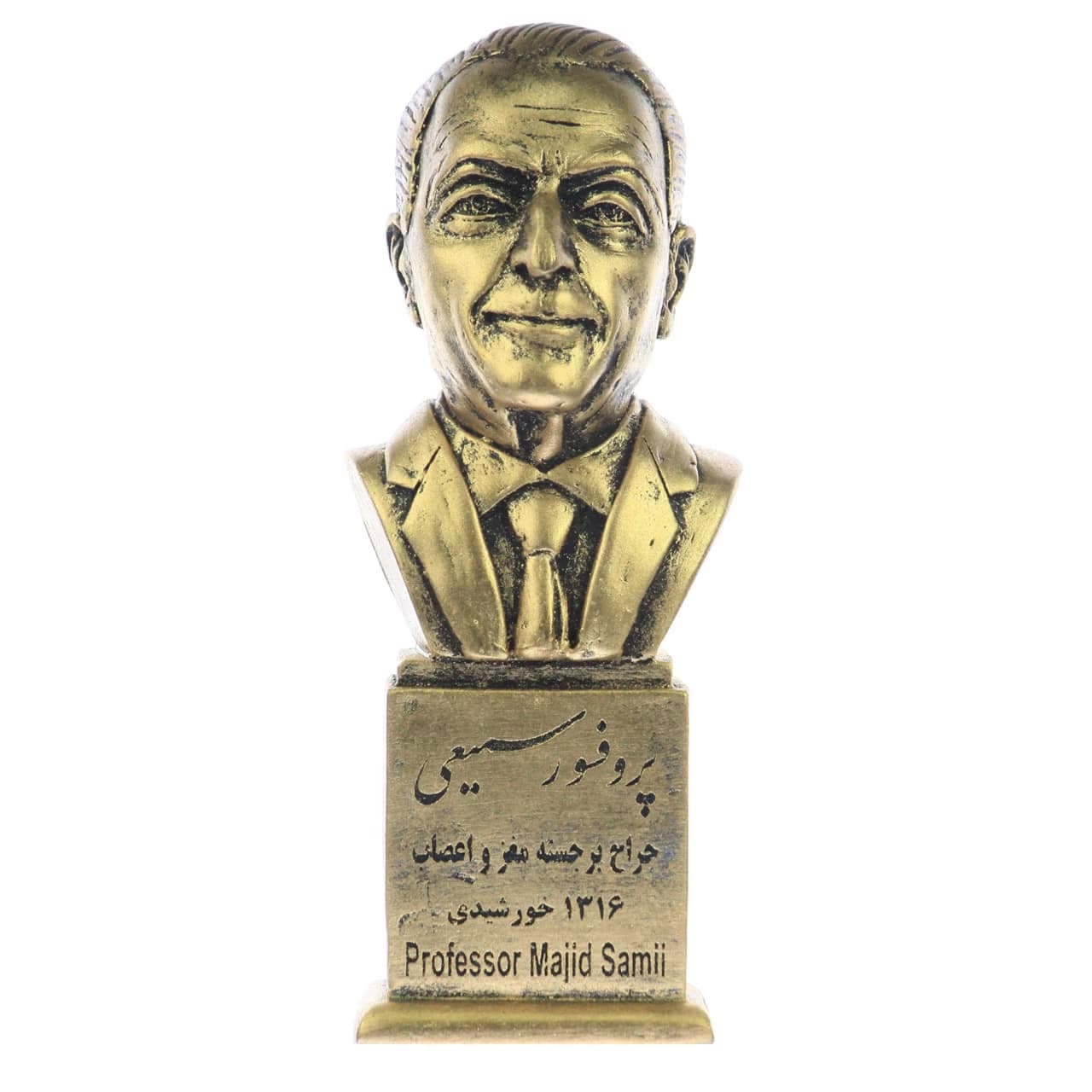 سردیس پروفسور مجید سمیعی